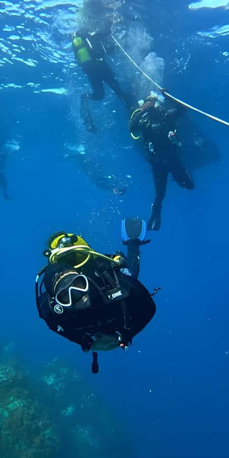 Algeria Daytour : Snorkeling & Horse Riding with lunch - Should you book it?