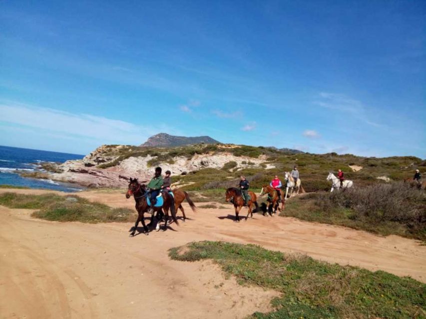 Alghero: Guided Horseback Ride at Lake Baratz & Porto Ferro - What to expect from the pace and group