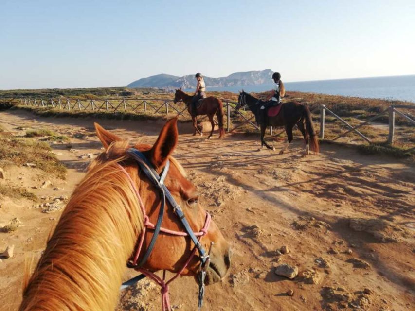 Alghero: Guided Horseback Ride at Lake Baratz & Porto Ferro - From Lake Baratz into Sardinia’s pine country
