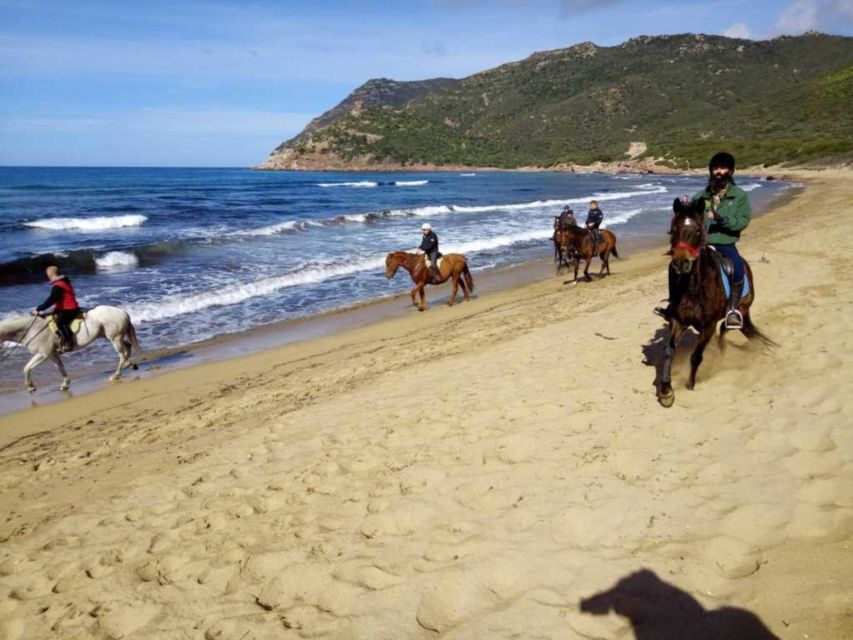 Alghero: Guided Horseback Ride at Lake Baratz & Porto Ferro - Seven kilometers of changing scenery