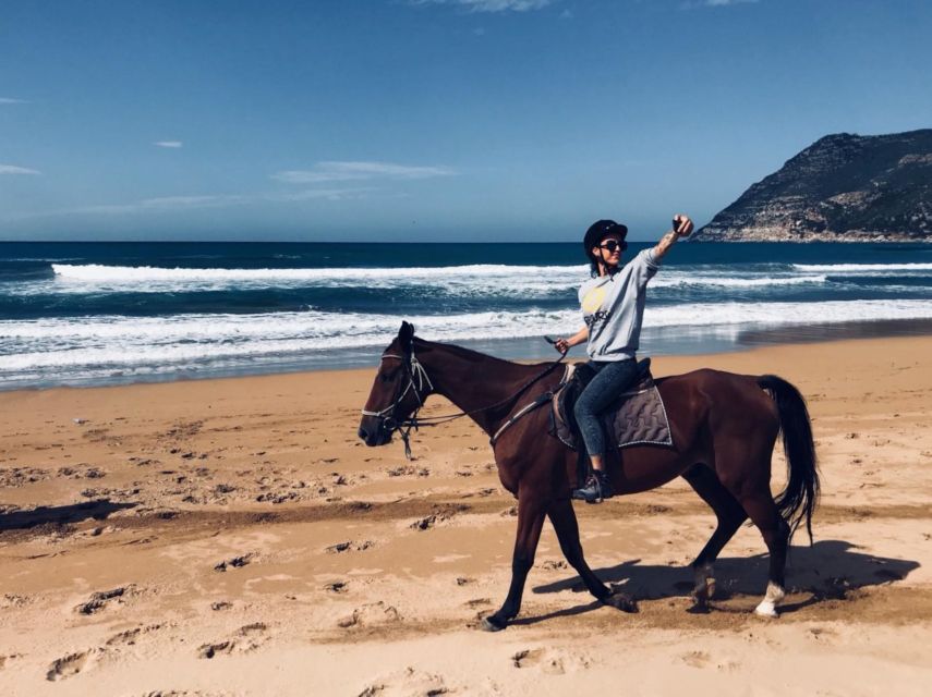 Alghero: Guided Horseback Ride at Lake Baratz & Porto Ferro - Why beginners are especially well served
