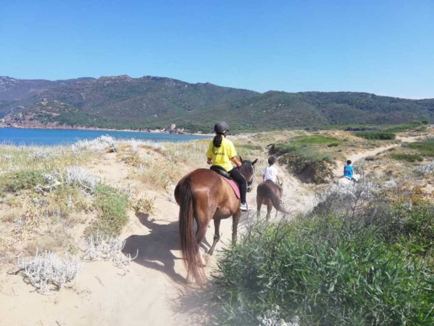 Alghero: Guided Horseback Ride at Lake Baratz & Porto Ferro - Who should book the $98 ride