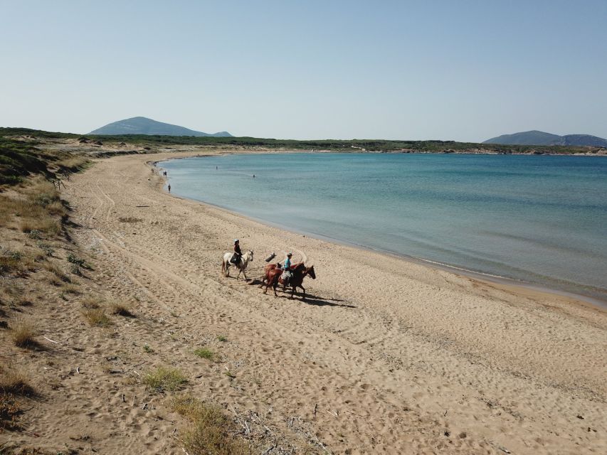 Alghero: Guided Horseback Ride at Lake Baratz & Porto Ferro - Practical planning for the riding school
