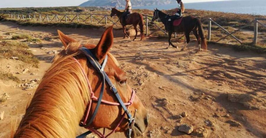 Alghero: Guided Horseback Ride at Lake Baratz & Porto Ferro - Meeting the horses and getting comfortable in the saddle