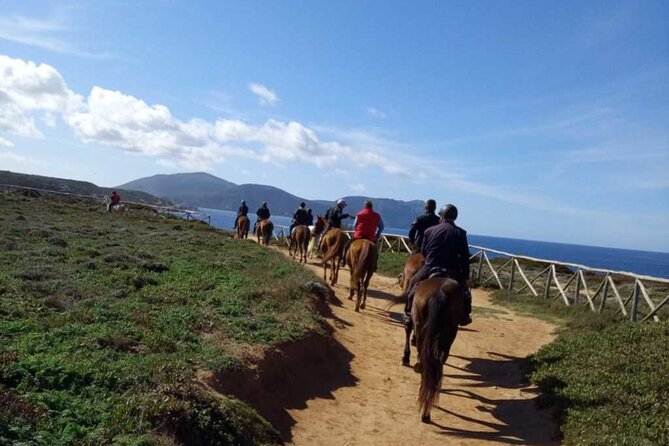 Alghero: horseback ride in Porto Ferro and Lake Baratz - From the riding school to Porto Ferro beach