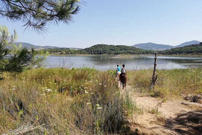 Alghero: horseback ride in Porto Ferro and Lake Baratz - What to know before you book