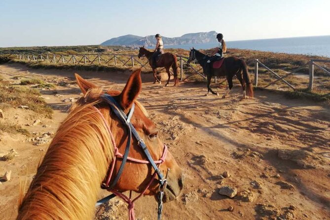Alghero: horseback ride in Porto Ferro and Lake Baratz - Who will enjoy this ride most?