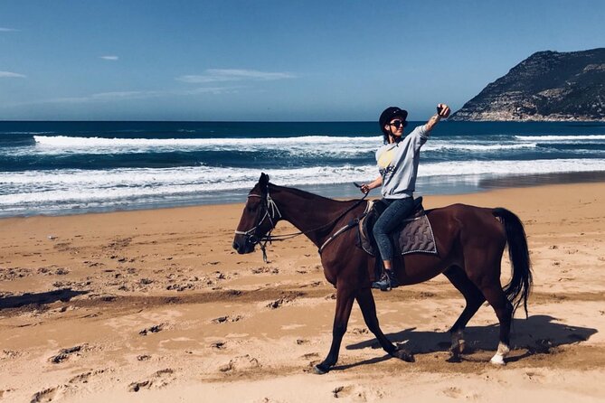 Alghero: horseback ride in Porto Ferro and Lake Baratz - The pine forest route to Lake Baratz