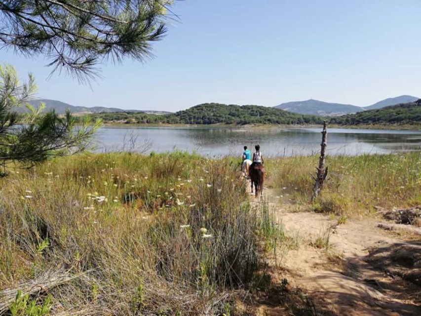 Alghero: Lake Baratz Guided Horseback Ride - Weather, timing, and practical planning