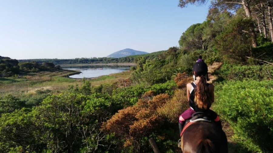 Alghero: Lake Baratz Guided Horseback Ride - The first part of the ride, forest and Mediterranean plants