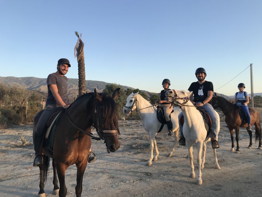 Almeria: Horse Riding Tour Through the Tabernas Desert - Key points to know before you book