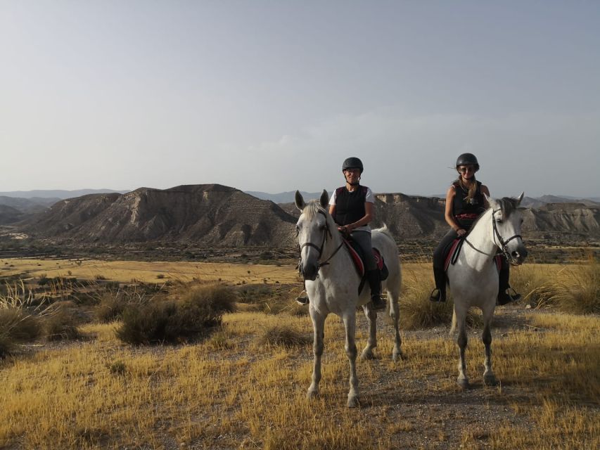 Almeria: Horse Riding Tour Through the Tabernas Desert - The first lesson and meeting your horse