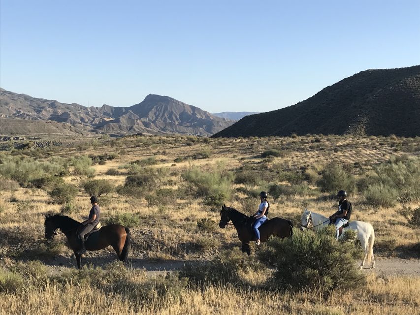 Almeria: Horse Riding Tour Through the Tabernas Desert - What the pace feels like for different riders
