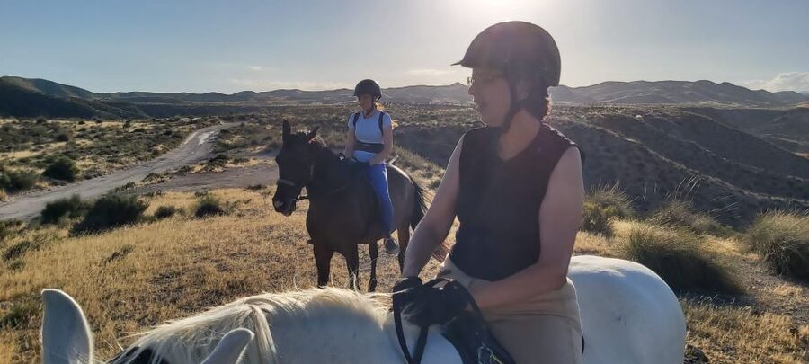 Almeria: Horse Riding Tour Through the Tabernas Desert - How the $53 price compares with the experience