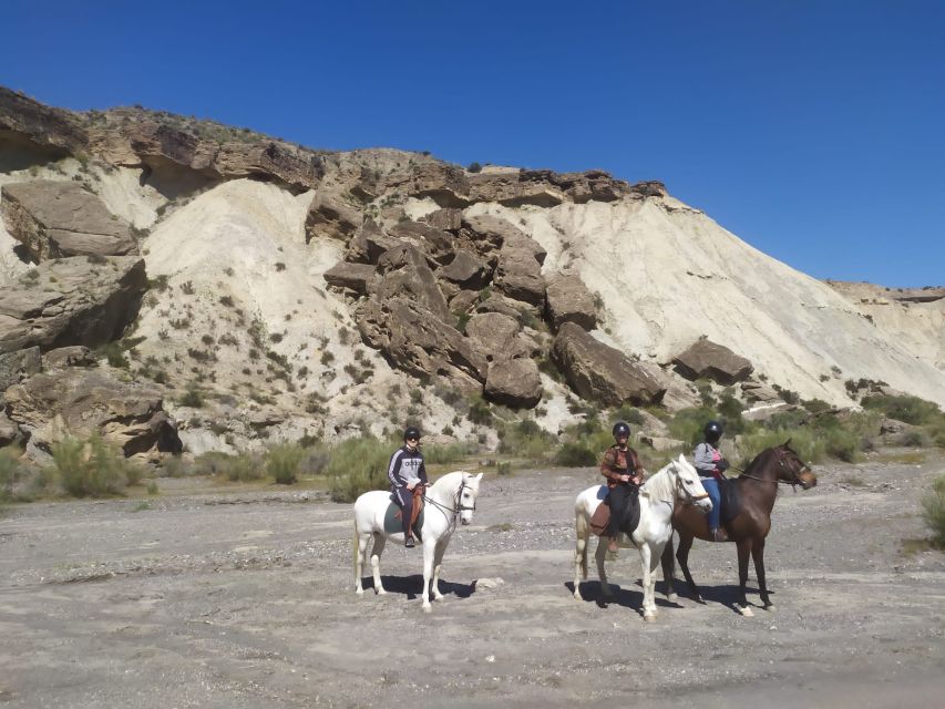 Almeria: Horse Riding Tour Through the Tabernas Desert - Arriving at Rancho Malcaminos