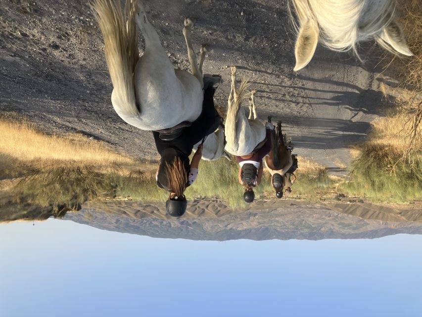 Almeria: Tabernas Desert Horse Riding for experienced riders - Riding into Tabernas, Spain’s dry open country