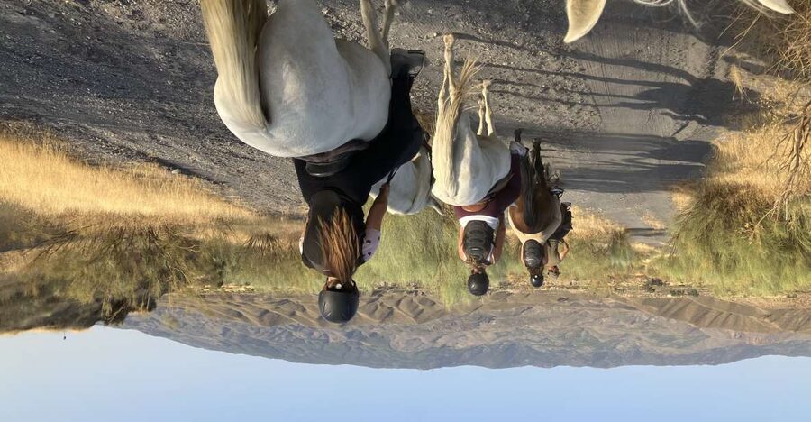 Almeria: Tabernas Desert Horse Riding for experienced riders - A small ranch welcome before the desert