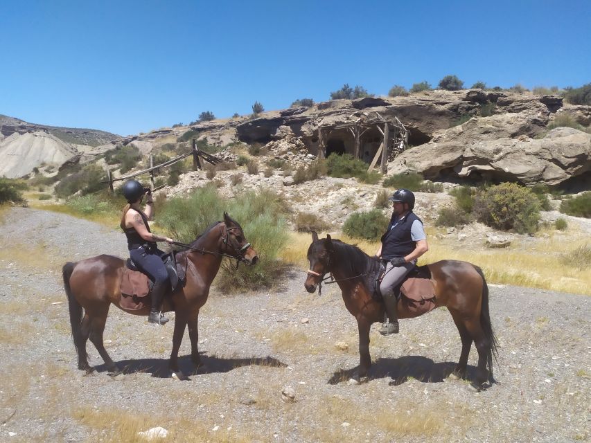 Almeria: Tabernas Desert Horse Riding for experienced riders - Friendly horses with enough energy to respond