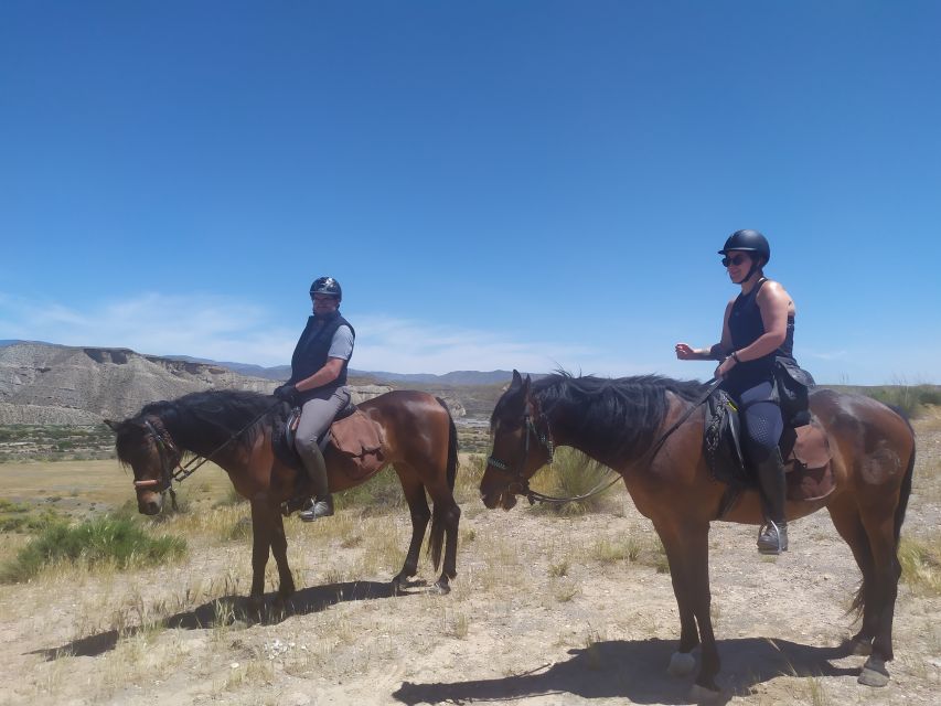 Almeria: Tabernas Desert Horse Riding for experienced riders - Who should book this desert ride?