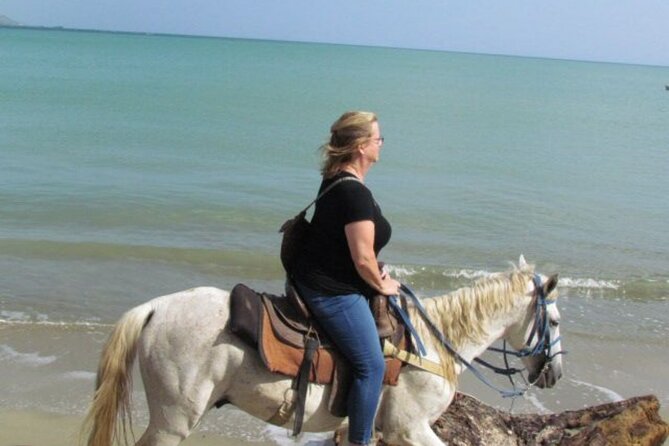 Amazing 3-Hour Horseback Riding at Puerto Plata with Pickup - How the three hours really work