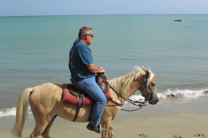 Amazing 3-Hour Horseback Riding at Puerto Plata with Pickup - What to wear and carry
