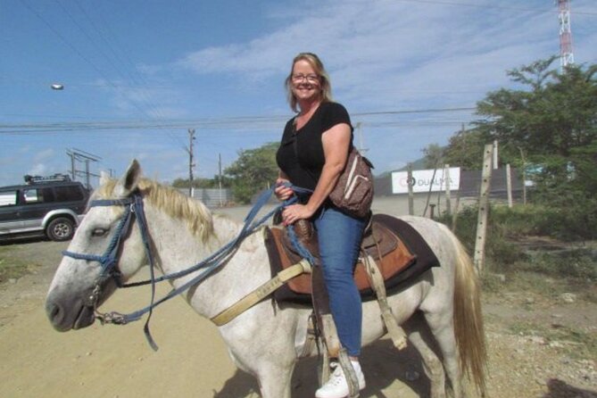 Amazing 3-Hour Horseback Riding at Puerto Plata with Pickup - Who will enjoy this ride most
