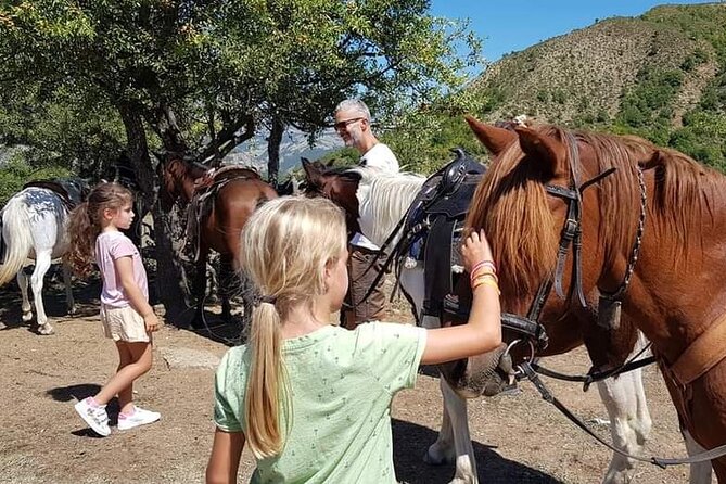 Amazing Horse Riding Experience at Vjosa National Park in Permet - How suitable is it for beginners?