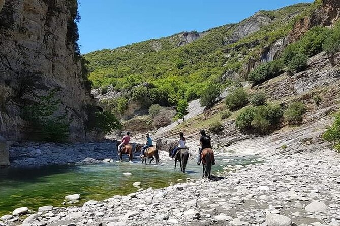 Amazing Horse Riding Experience at Vjosa National Park in Permet - Can you trot or canter?