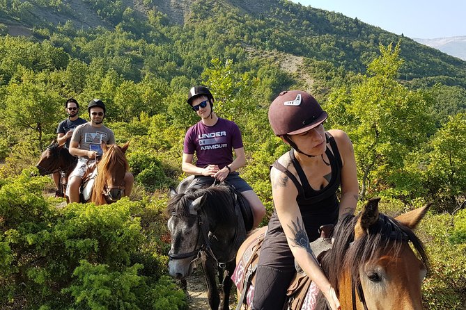 Amazing Horse Riding Experience at Vjosa National Park in Permet - What happens before the horses leave