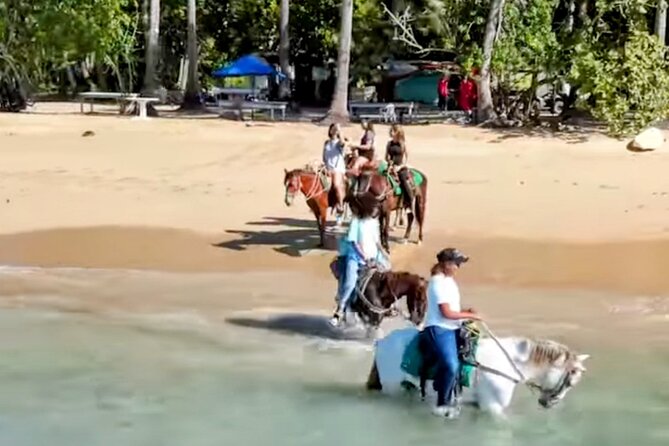 AMBER COVE-TAINO BAY Horses Beach Ride & City Sightseeing - Quick points to know before booking