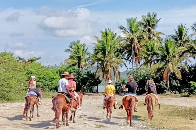 AMBER COVE-TAINO BAY Horses Beach Ride & City Sightseeing - Timing, group size, and cruise-day value