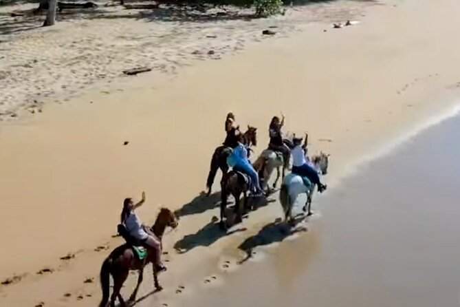 AMBER COVE-TAINO BAY Horses Beach Ride & City Sightseeing - Meeting the vehicle outside Amber Cove or Taino Bay