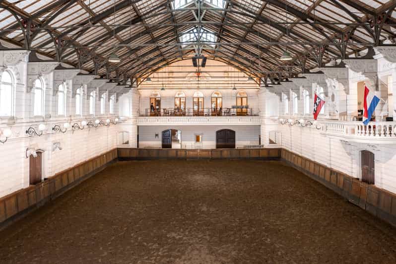 Amsterdam: The 'Hollandsche Manege' Stables Entry Ticket - Meeting the horses in the stables