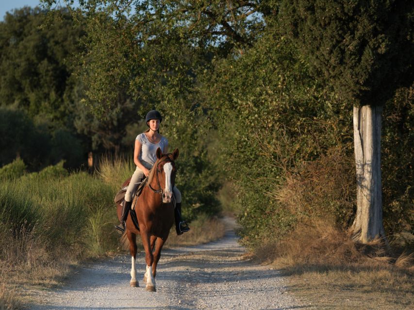 An Exclusive Horseback Experience in the Heart of Tuscany - Practical timing around Siena