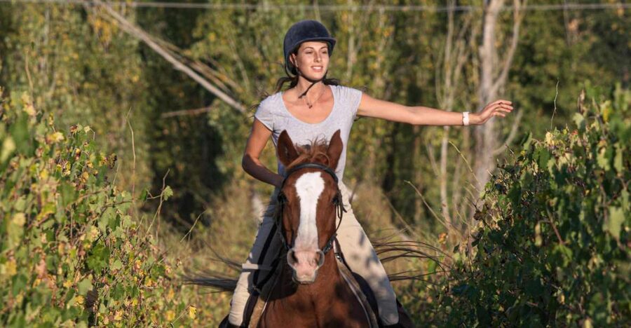 An Exclusive Horseback Experience in the Heart of Tuscany - Vineyards, olive groves, and Siena’s rural views