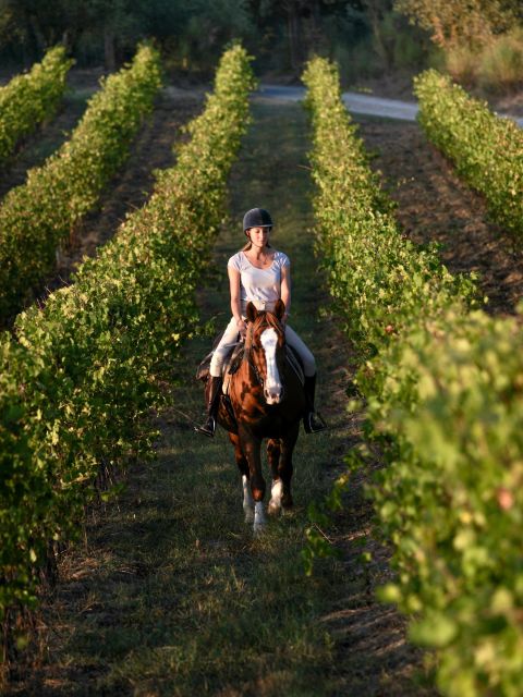 An Exclusive Horseback Experience in the Heart of Tuscany - Why the small group size matters