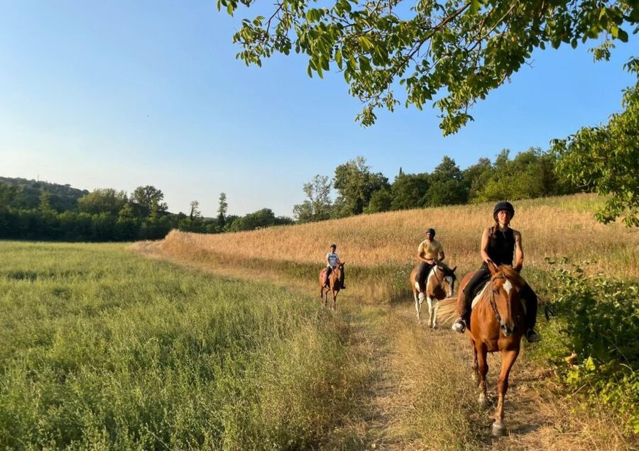An Exclusive Horseback Experience in the Heart of Tuscany - The optional lunch and farm additions