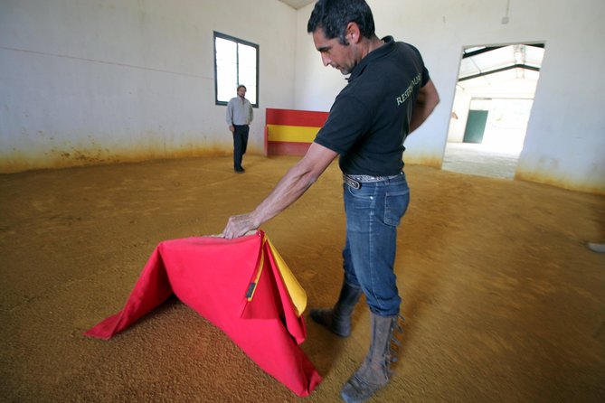 Andalucia Bull and Horse Farm and Ronda Private Tour from Malaga - Puente Nuevo and the Ronda gorge