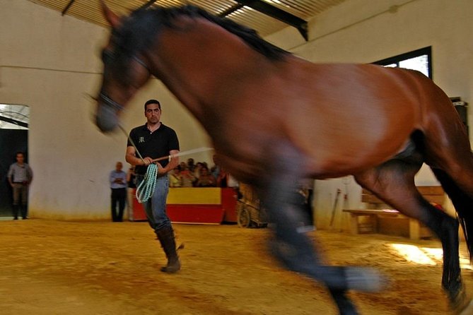 Andalucia Bull and Horse Farm and Ronda Private Tour from Malaga - How the six-hour schedule works