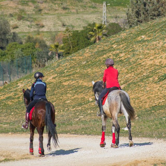 Andalucia: Horse Riding Tour with Picnic - Key points at a glance