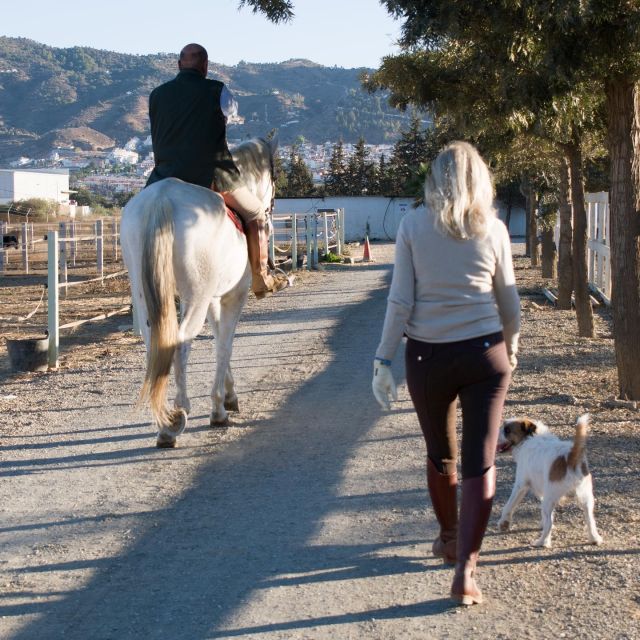 Andalucia: Horse Riding Tour with Picnic - From the equestrian centre to the open countryside