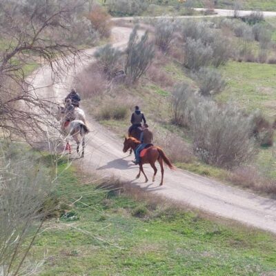 Andalucia: Horse Riding Tour with Picnic
