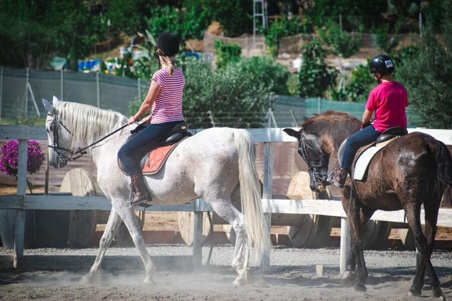 Andalucia: Horse Riding Tour with Picnic - The picnic: Spanish food in the right setting