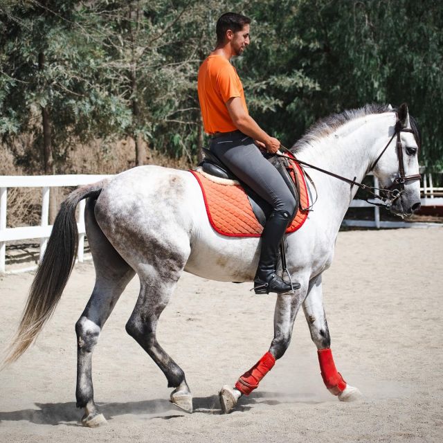 Andalucia: Horse Riding Tour with Picnic - Who will enjoy this experience most?
