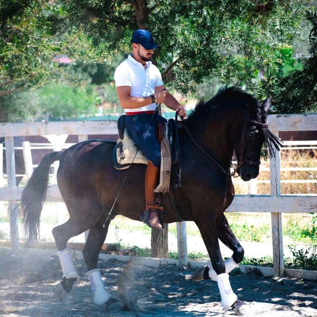 Andalucia: Horse Riding Tour with Picnic - Practical details before you book