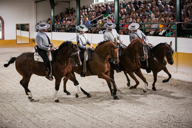 Andalusian Horses and Flamenco show with transportation - Andalusian horses take center stage at El Ranchito