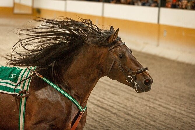 Andalusian Horses and Flamenco show with transportation - Coach pickup from Malaga and the Costa del Sol