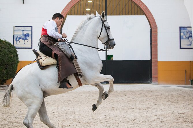 Andalusian Horses and Flamenco show with transportation - Who will enjoy this evening most