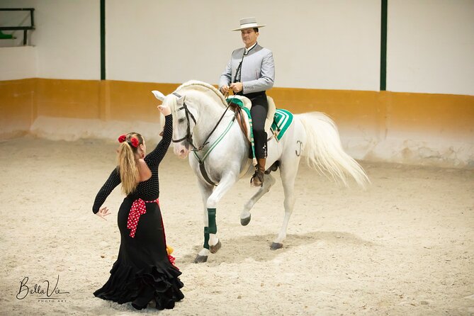 Andalusian Horses and Flamenco show with transportation - The 90-minute equestrian ballet