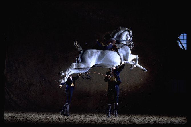 Andalusian Horses Dance Show - Key points to know before booking
